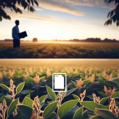 O agronegócio sob a nova Reforma Tributária